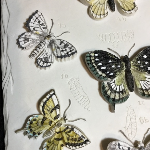 VTG Butterfly Wall Plaque - Picture 4 of 8